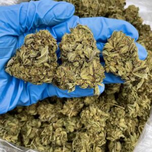 PLATINUM HERB- KF520PL