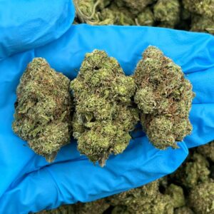 STARBURST SLURRICANE - KO714GG