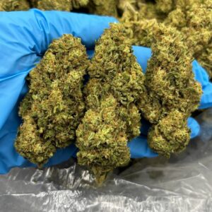 NECTAR GLUE - LM804GL