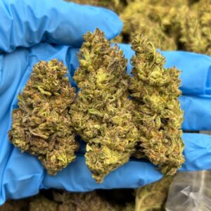 JMO COOKIES - LM804JC