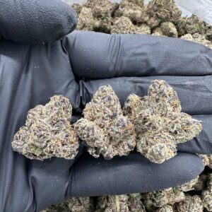 LEMON CHERRY GELATO - MC915SLC
